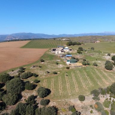 Paisaje agrícola con campos, una casa y vegetación bajo un cielo despejado.