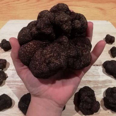 Unas trufas negras son sostenidas en una mano, con otras trufas en el fondo.