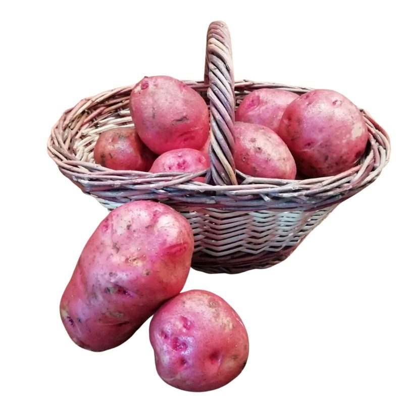 Patatas bio de montaña en una cesta de mimbre