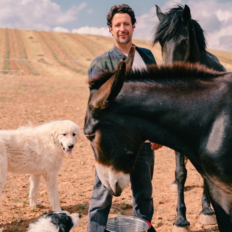 Joan Cerdanya en su finca cuidando de sus asnos, caballos y perros